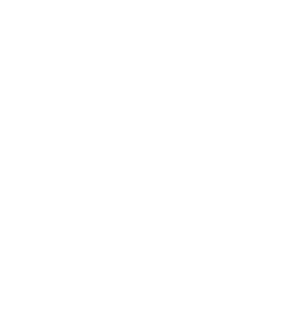 logo-sota.png